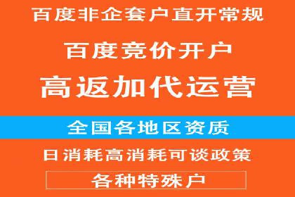 成功案例分享：SEM托管服务助力企业提升竞争力